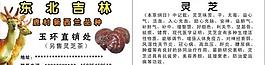批發(fā)名片圖片