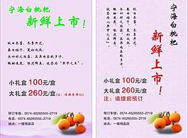 枇杷圖片