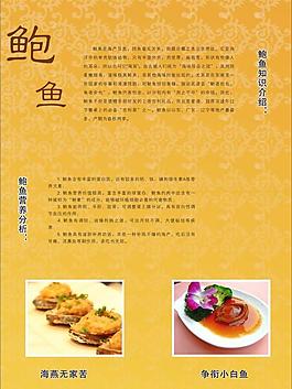 鮑魚圖片