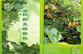 有機(jī)獼猴桃 折疊頁(yè)圖片