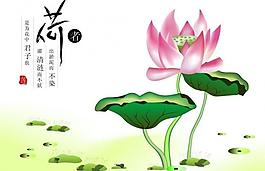 荷葉圖片
