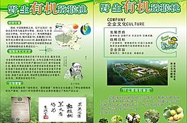 折疊頁 有機(jī) 養(yǎng)生 獼猴桃圖片