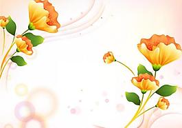 花朵圖片