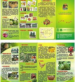 農(nóng)場水果圖片
