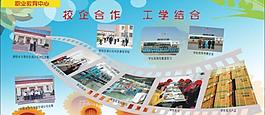 校企合作 工學結(jié)合圖片