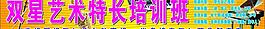 雙星藝術特長班培訓圖片