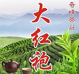 大紅炮圖片