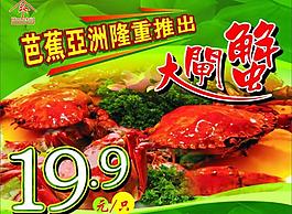 大閘蟹圖片