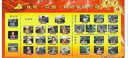 光荣榜图片