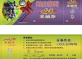 葡萄采摘券圖片