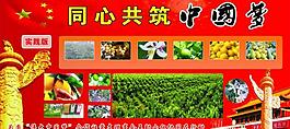 同心共筑中國夢圖片