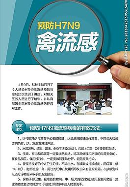禽流感疾病图片
