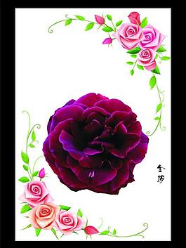 玫瑰花圖片