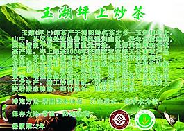绿茶广告图片