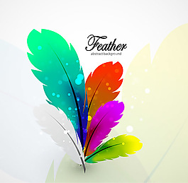 彩色羽毛設(shè)計矢量二