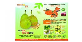 库尔勒香梨图片