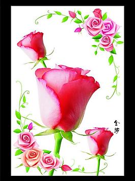 玫瑰花圖片