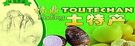 福鼎特產圖片