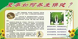 夏季養生保健圖片