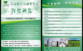 開業典禮單頁設計圖片
