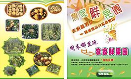 果樹園圖片