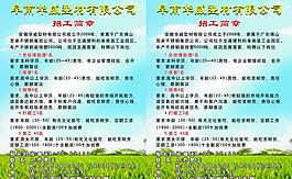 招聘簡(jiǎn)章圖片