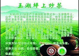 绿茶广告图片