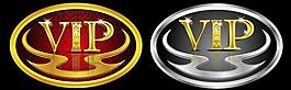 vip图标图片
