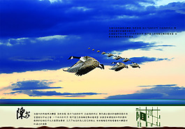 宣傳單頁