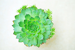 DSC_6423副本.jpg
