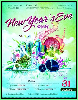 新年派對(duì)清新海報(bào)