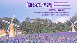薰衣草 頁面頂部