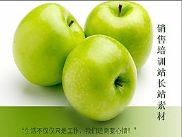 業(yè)務(wù)員培訓(xùn)PPT模板