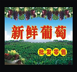 新鮮葡萄廣告