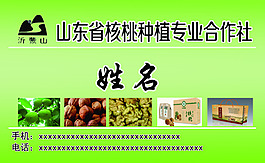 核桃種植名片
