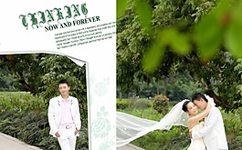 婚紗模板