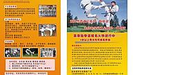 跆拳道圖片