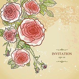 唯美玫瑰花素材
