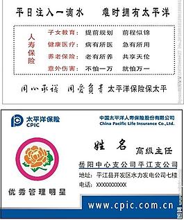 太平洋名片圖片