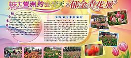 展板 宣傳欄圖片