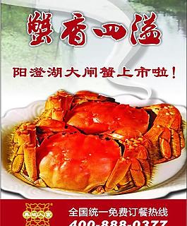 大閘蟹圖片