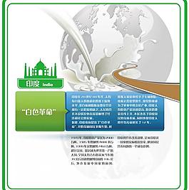 白色革命 海报设计图片