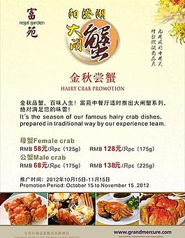 大闸蟹推广图片