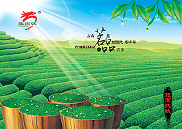 綠茶宣傳頁宣傳單海報(bào)