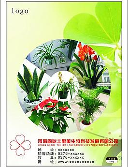 花草肥料種子包裝袋圖片