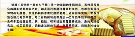 奶酪圖片