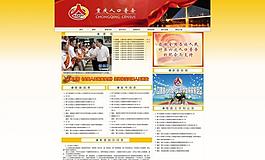 人口普查網(wǎng) 人口普查網(wǎng)頁設(shè)計(jì)圖片