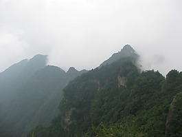 霧