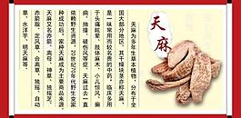 中藥材天麻圖片