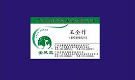 鳳凰 米名片 綠色 卡片圖片